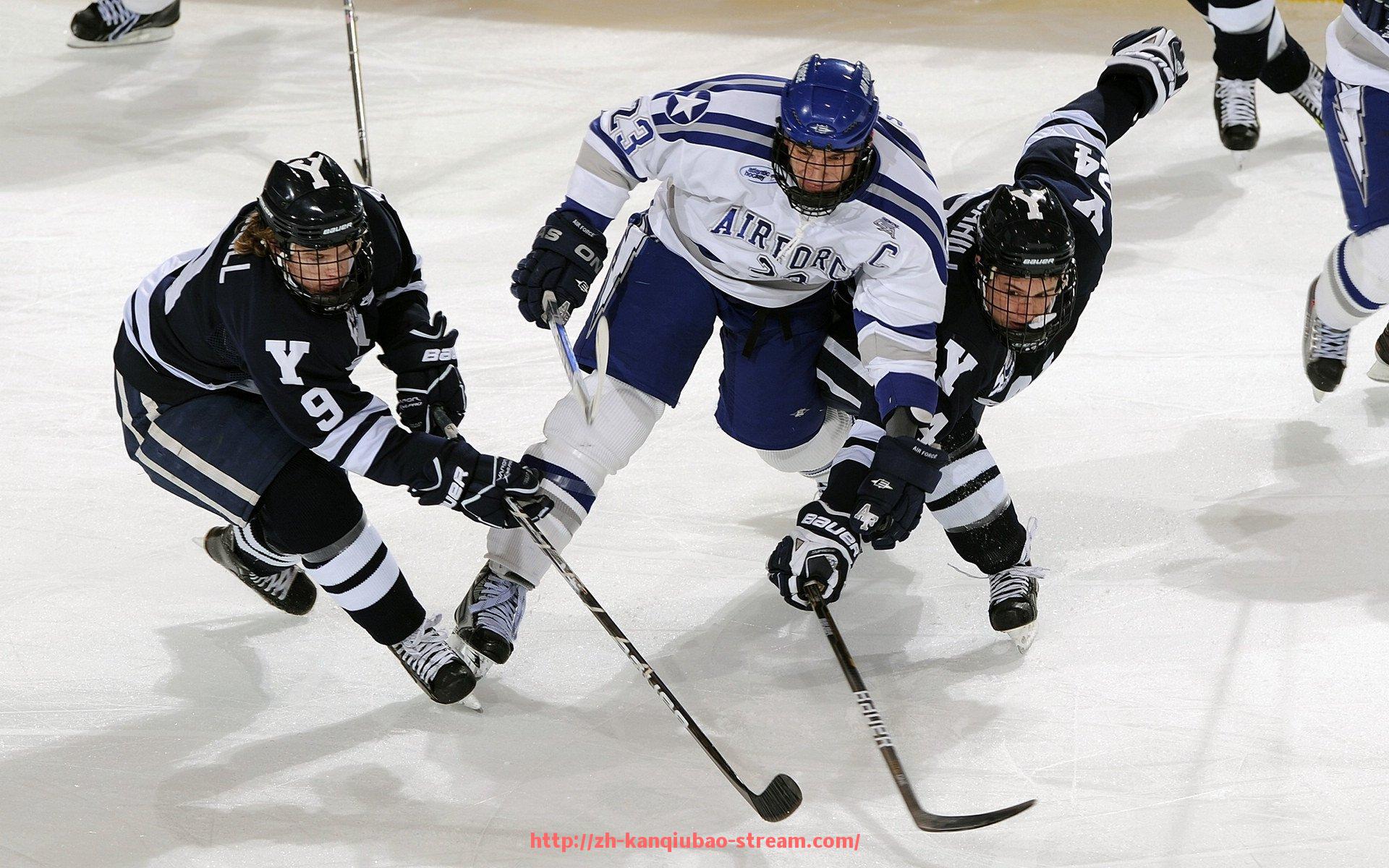 看球宝-世俱杯球迷俱乐部现场活动预告与参与方式